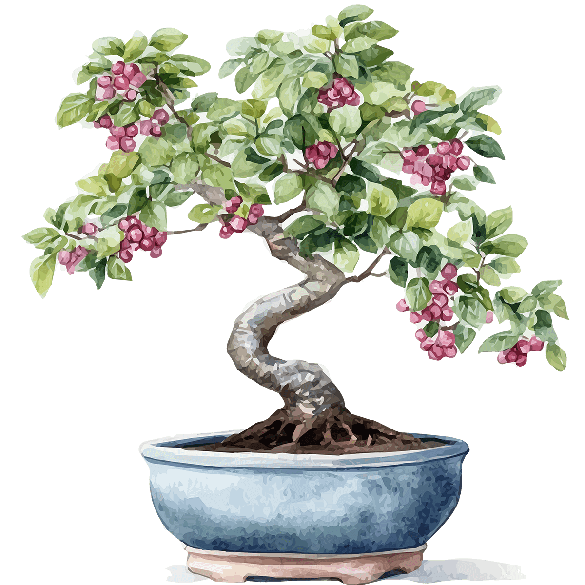 Bonsai Tree Icon